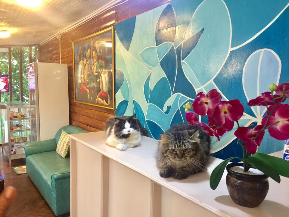 Ace Traveller'S Inn 公主港 外观 照片